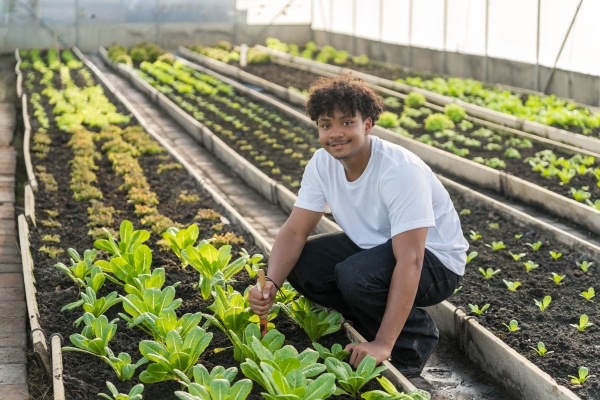 Themascholen: Groene scholen en groen lyceum als thema op school in de VO Gids 2026