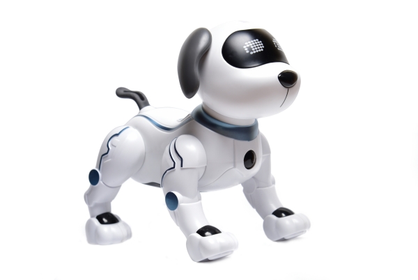 Robothond de VO Gids 2026