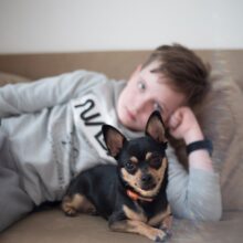 Jongen ligt op bank met hondje voor zich | De VO Gids 2026