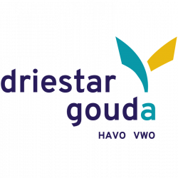 Driestar Gouda havo  vwo logo